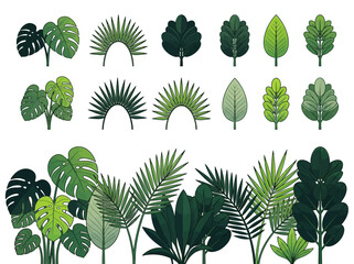 Collection of Tropical Leaf Vector Illustrations and Botanical Design Elements. Stylized Green Palm, Monstera, and Jungle Foliage Icons Isolated on White Background. © Susy