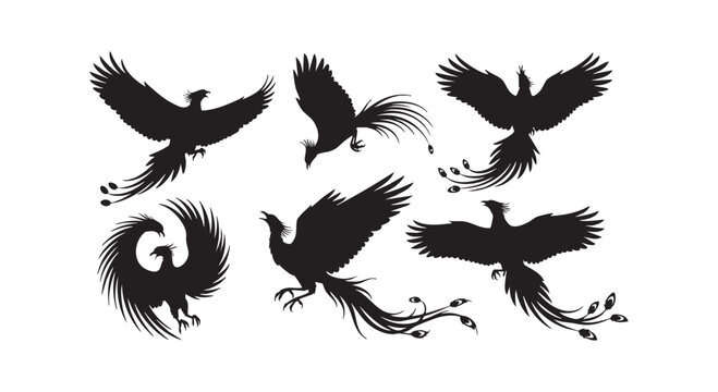 Phoenix bird silhouettes mystical fiery bird of rebirth mythical creature flying with outstretched wings decorative elements.