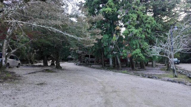Exploring Miyajima Island