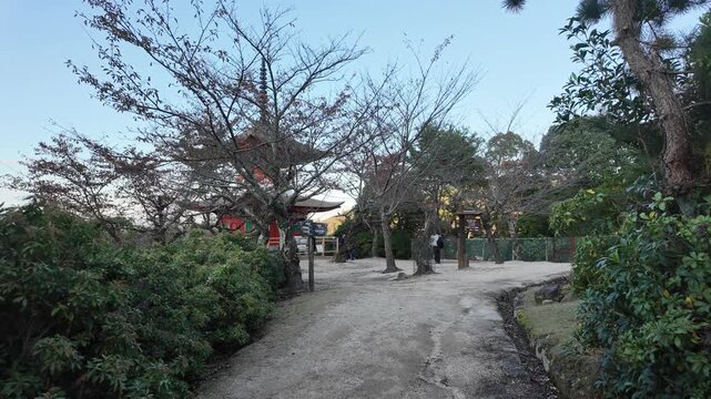 POV Enjoying the Natural Landscape of Miyajima Island