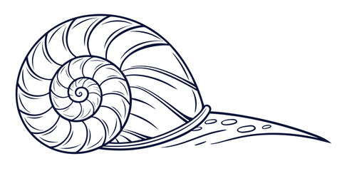 Minimalist spiral snail shell line art vector illustration with illustration creature abstract minimalist monochrome nautilus underwater wildlife geometry gastropod ornament stylized © Sp