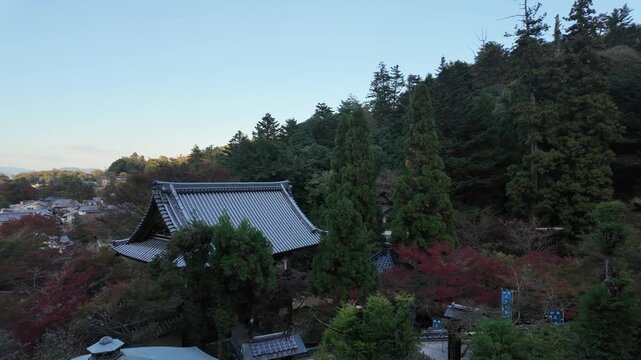 POV Walking Through the Scenic Nature of Miyajima Island