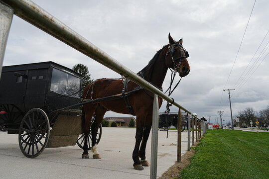 Horse-drawn carriages and horses were the non-fuel-powered modes of transport used by the Amit people in Indiana, USA.
