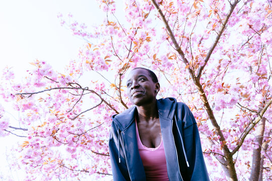 Low angle portrait of confident Black woman among pink sakura blossoms