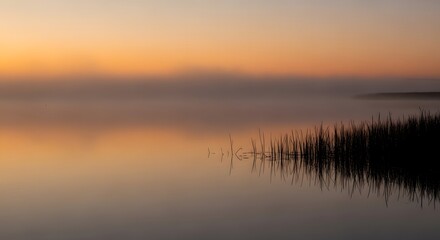 Fototapeta premium Flock of birds flying over misty lake at sunrise with reeds in foreground