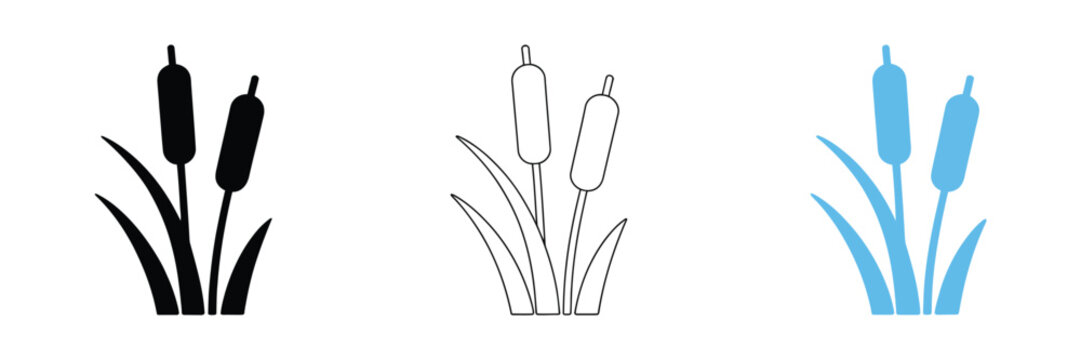 Set of Cattail Icons and Silhouettes reed vector icon cane symbol simple flat design for web or mobile app cattail plant icon silhouette of cattails and reeds wetland plant solid icon set.