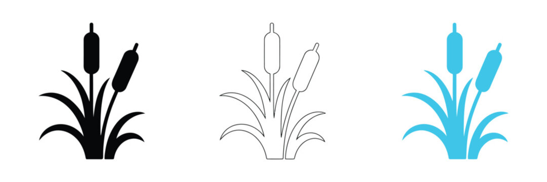 Set of Cattail Icons and Silhouettes reed vector icon cane symbol simple flat design for web or mobile app cattail plant icon silhouette of cattails and reeds wetland plant solid icon set.