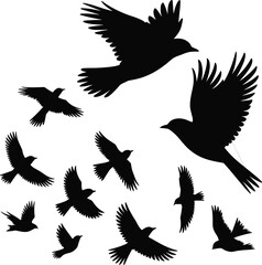 Obraz premium Flying Bird Silhouette Set with Crow and Raven Shapes Isolated on White Background for Nature Designs