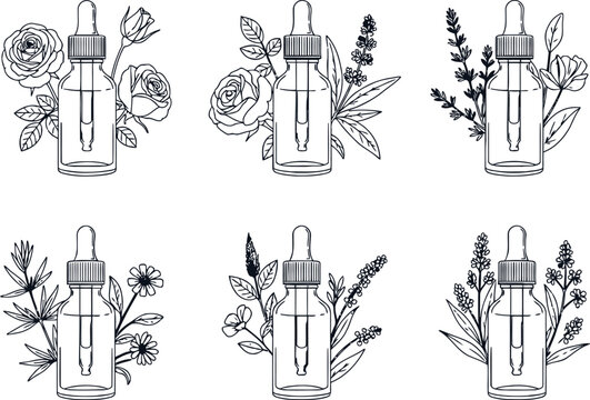 A collection of six hand drawn botanical illustrations featuring essential oil dropper bottles