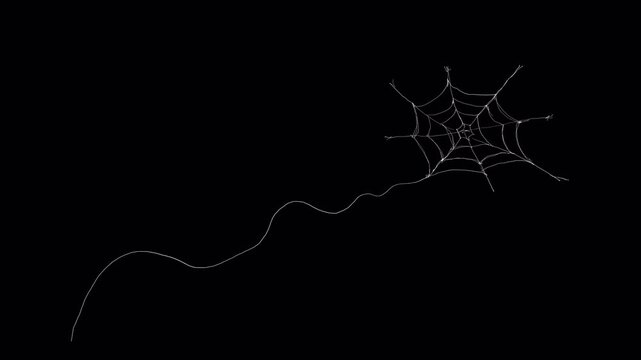 Flying white spider web on a black background. Stock video with horror effect for Halloween clips in 4K.