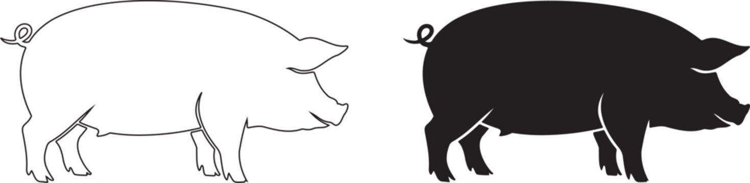 Black silhouette and white outline of a pig standing side view swine animal
