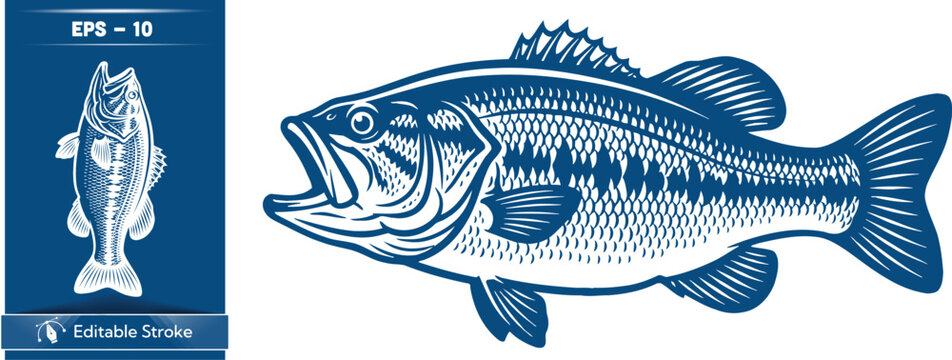 Blue illustration of a largemouth bass fish