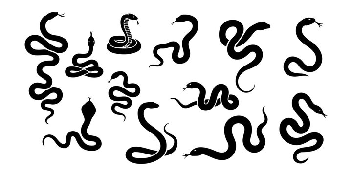 Collection of black snake silhouettes in various poses on a white background