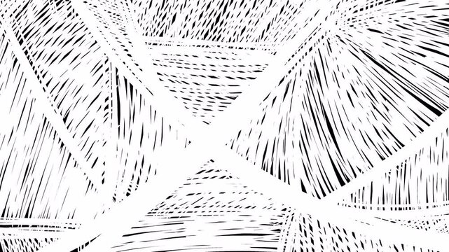 Video transition with intertwining white spiderweb on a black background. Effect of creating a spider web texture from white lines in 4K. 2D stock spiderweb animation.
