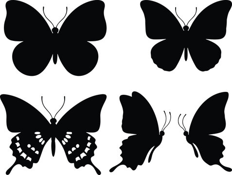 Black butterfly silhouette collection isolated on light background featuring elegant insect vector shapes and decorative wing patterns