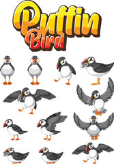 Obraz premium Cartoon puffin bird collection with playful flying character poses vector