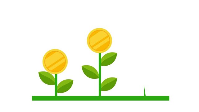 Money Growth Plant Stylized golden coin flowers sprouting on green stems from ground, symbolizing financial growth, investment success, and wealth increase in a clean flat design Animation.