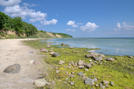 view to Kap Nordperd Monchgut Nature Reserve,part of South-East Rugen Biosphere reserve,Gohren,Rugen,baltic Sea,Mecklenburg-Vorpommern,Germany