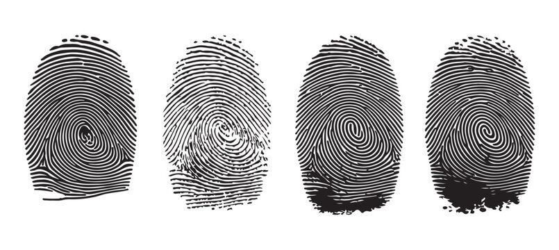 Set of four detailed fingerprint impressions showcasing complex line patterns in realistic black textures.