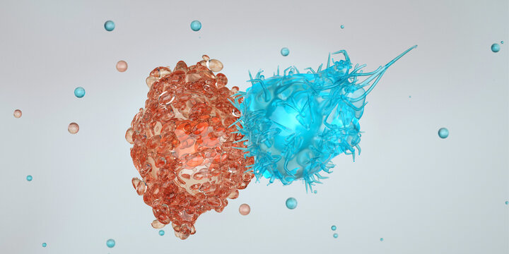Cytotoxic T cells (blue) attack a cancer cell (red). Killer T-cell or B-cell concept. CAR T-Cell Therapy. White blood cells. Natural killer cell. Photo stock	