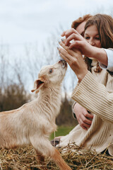 Naklejka premium Joyful moment outdoors, a human feeding a curious goat kid, warm light on countryside, candid interaction, simple lifestyle, gentle bond, natural colors, serene atmosphere