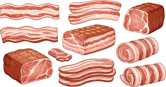 Bacon and meat vector set. Hand-drawn raw bacon strips, rolled bacon, and meat blocks in various cuts. Perfect food illustrations for cooking, recipes, and culinary projects.