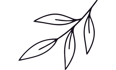 Obraz premium Simple line drawing of a branch with leaves isolated on transparent background