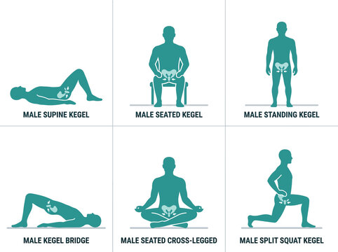 3d male leg performing kegel exercise with muscle activation highlighted in teal