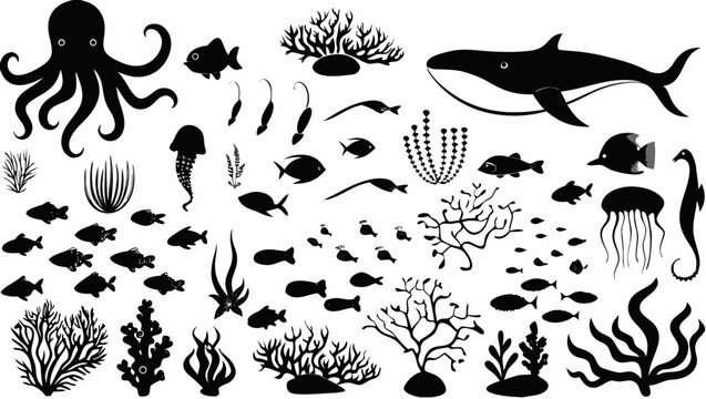 vector illustration of a set of fishes