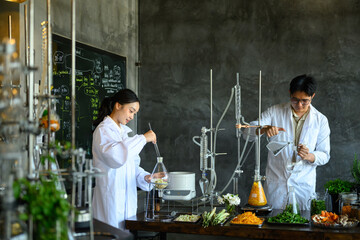 Obraz premium Two Asian Scientists in Lab Coats Conducting Herbal Extraction Research with Glass Distillation Equipment and Fresh Botanicals