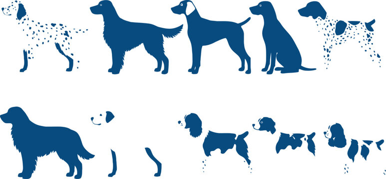 Silhouette of Various Dog Breeds in a Row