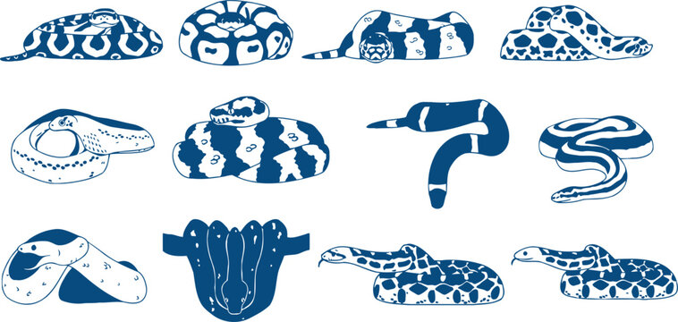 Collection of various sea creatures in blue silhouette on white background