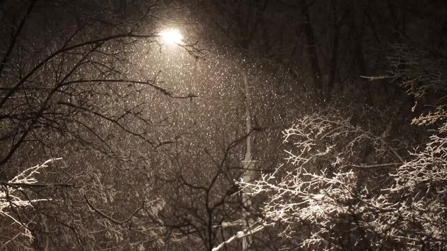 Snowfall against the background of light from a street lamp at night