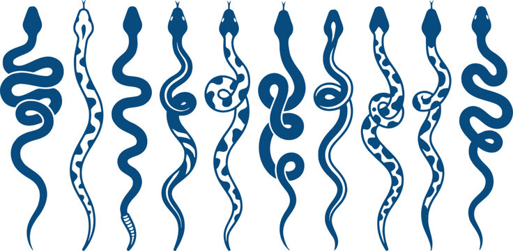 Blue sperm cells illustration on white background