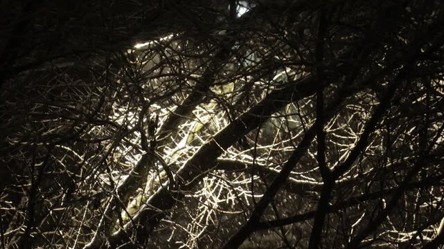 Snowfall against the background of light from a street lamp at night