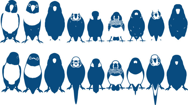 Group of various penguins standing in two rows