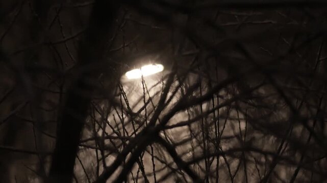 Snowfall against the background of light from a street lamp at night