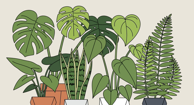 A vibrant collection of potted houseplants.
