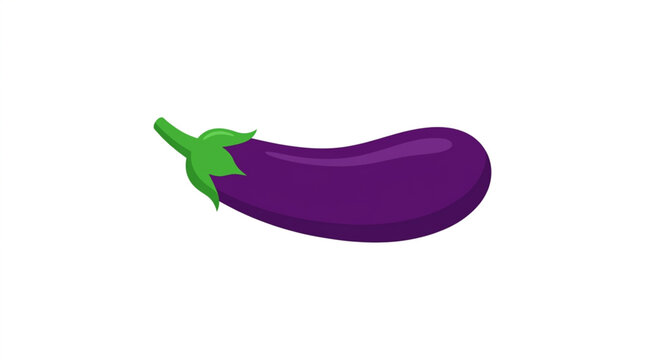 Fresh purple eggplant vegetable vector illustration isolated on white background