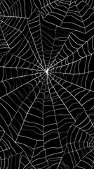 Fototapeta premium Intricate web design formed by spider silk in a dark environment with delicate patterns capturing light