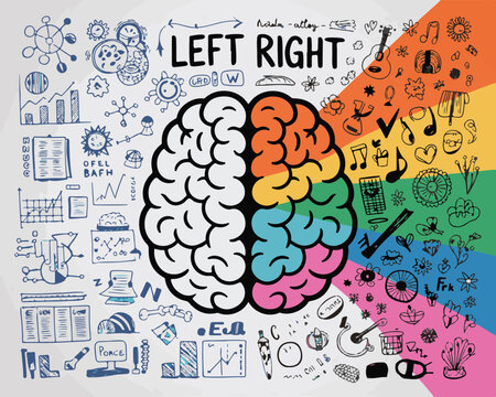 A detailed illustration of brain hemispheres depicting left and right brain functions with various doodles and symbols.