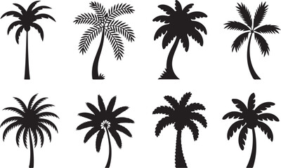 Fototapeta premium Set of black palm trees silhouette isolated on transparent background tropical vacation and exotic travel symbols.