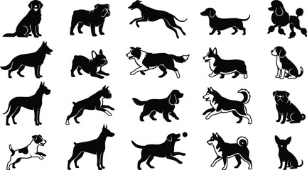 Dog silhouettes collection various breeds black on white background © Mehedi
