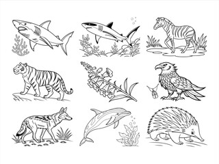 Naklejka premium coloring page line art the bird and animal black vector bundle