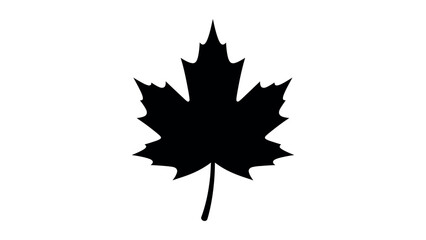 Fototapeta premium Maple Leaf Silhouette Vector Icon Design