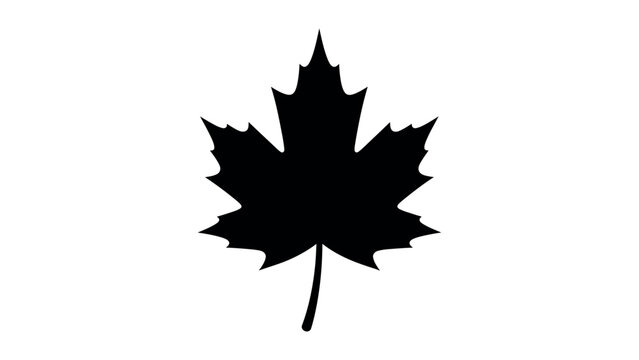 Maple Leaf Silhouette Vector Icon Design
