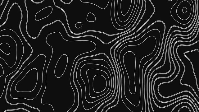Topographic map contours displayed on black background with white lines