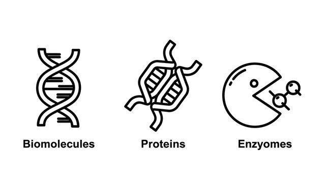 Biological science icons showing DNA helix protein structures enzyme reaction for molecular research biomolecule molecular genetics chemistry research biochemistry molecule reaction