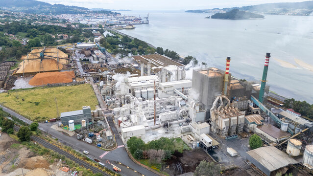 Ence pulp mill with wood chips pontevedra galicia