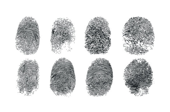 Set of eight different black ink fingerprints showing unique ridge patterns for biometric identification, security access, and forensic science concepts